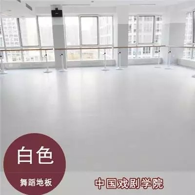 乐佑地板 舞蹈学校地板舞蹈房PVC地胶 舞蹈室PVC卷材 幼儿园地板 PVC舞蹈地板图2