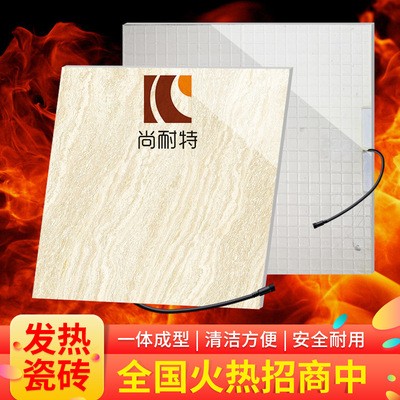 佛山瓷砖800*800抛光砖 亚马逊玻化发热地板瓷砖 客厅卧室地面砖图2