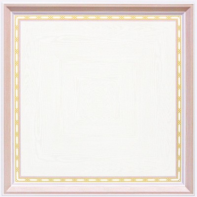 集成吊顶450*450铝扣板新款客厅铝合金吊顶浮雕压纹天花板图4