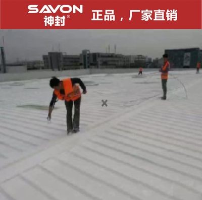 水性951彩色高弹聚氨酯防水涂料 屋顶防水补漏材料 装修防水工程图3