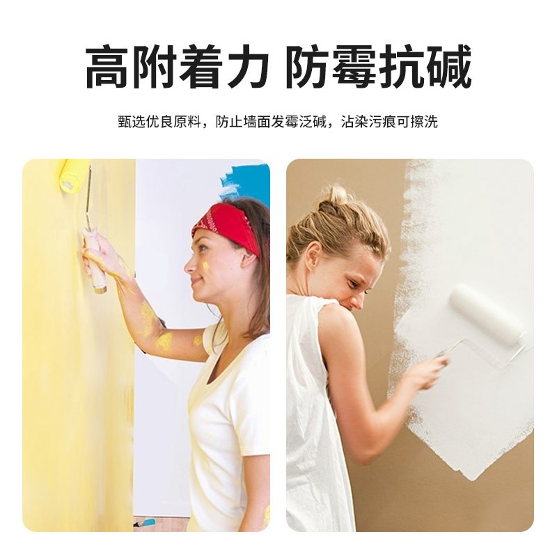 苏仙供应建筑家居内墙粉刷无机涂料 硅酸盐内墙白色无机涂料图2