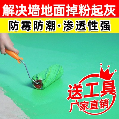 【墙固地固1千克】厂家直供 界面剂防潮抗碱加固混凝土界面处理剂图4