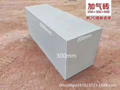 厂家供应 蒸压加气混泥土砌块 止火砌筑材料 轻质砖图4