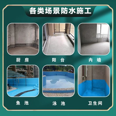 工厂直销戴姆乐浴室卫生间防水补漏蓄水池鱼池jsK11防水涂料批发图2