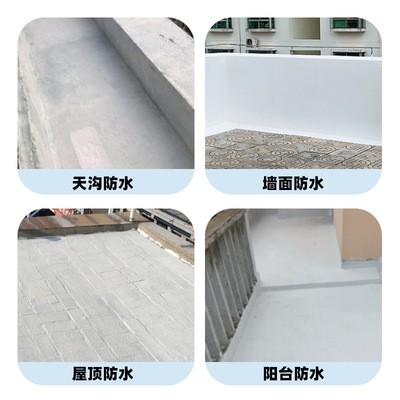 工厂直销戴姆乐屋顶外墙女儿墙防水补漏材料白色屋面防水涂料批发图2