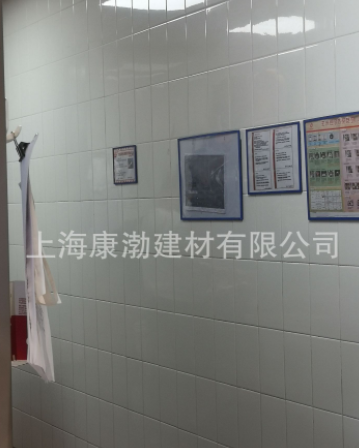 餐饮装修新款地砖图5