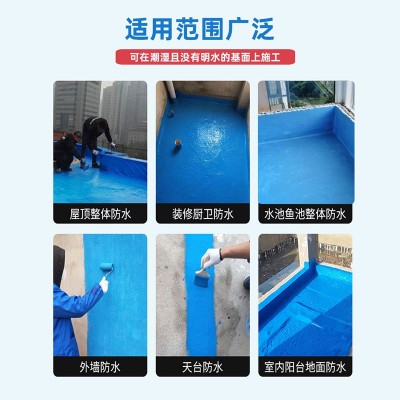 卫生间js防水涂料室外防水补漏漆浴室防漏浆料水泥基渗透结晶型图2