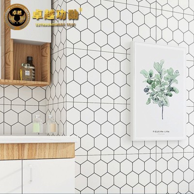 北欧工字格子砖300x600厨房浴室瓷砖卫生间黑白蜂窝鱼鳞纹内墙砖图3