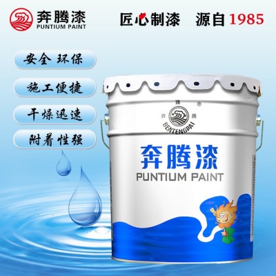 各类交通车辆/工程机械/仪器设备/水性环氧云铁中间漆图3