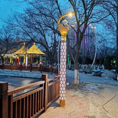室外照明灯具厂家 景区特色led景观灯 环湖庭院道路灯可定制图3
