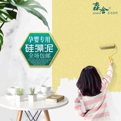 工厂批发硅藻泥涂料 贝壳粉涂料墙面干粉硅藻泥涂料修补墙面漆图2