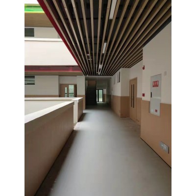 幼儿园塑料地板 PVC弹性地板 塑胶地板 学校用地板胶图2