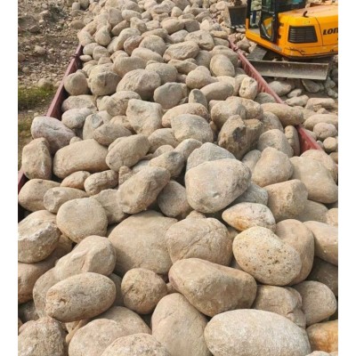 供应 园林绿化用鹅卵石 白色 黑色 抛光雨花石 公园造景铺路用图1