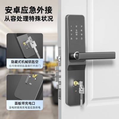智能门锁批发防盗门电子锁出租房民宿IC通通锁APP远程公寓 密码锁图2
