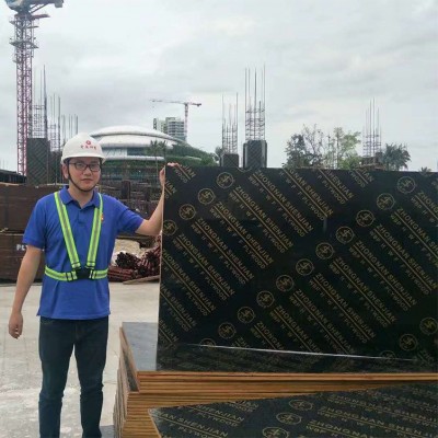 浙江工程模板木工板建筑18mm大尺寸建筑模板黑膜板清水效果好