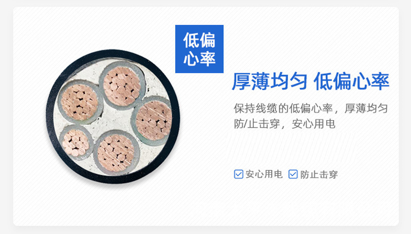 铜芯电缆 (4)