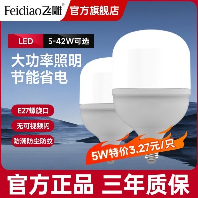 飞雕LED节能灯泡大功率照明球泡家用超亮E27螺口白光室内护眼