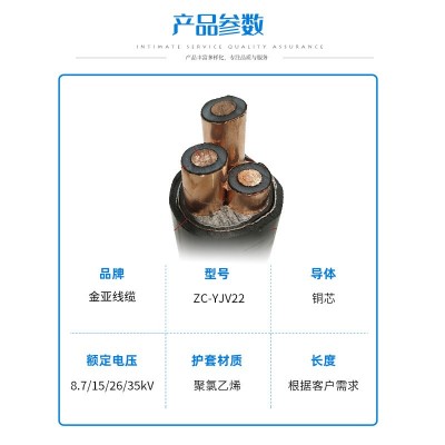厂家直供高压电缆 三芯凯装电力电缆 YJLV22铝芯铜芯多规可选图2