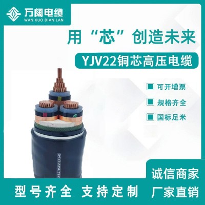 YJV120平方高压电缆 交联YJV22高压铝芯电缆 电线铠装电缆图3