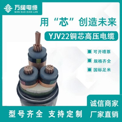 YJV120平方高压电缆 交联YJV22高压铝芯电缆 电线铠装电缆图4
