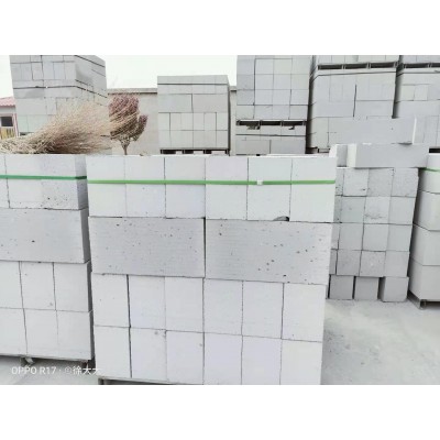 厂家直供京津冀建筑用混凝土实心水泥砖砌块蒸压加气砖定制批发图2