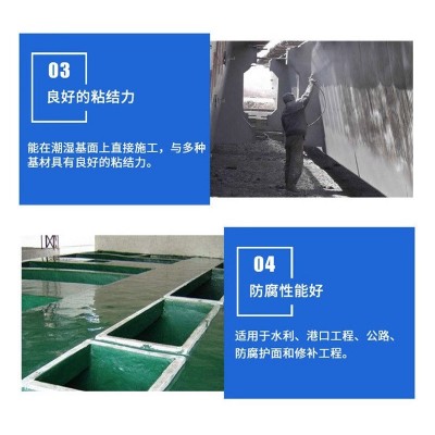 氯丁胶乳防水砂浆混凝土大坝港口防渗修补双组份阳离子水泥砂浆图4
